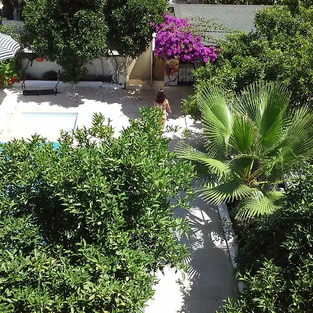 Ipsos Hotell